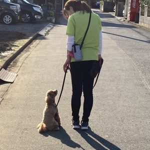 完全復帰いたしましたー(^^)/