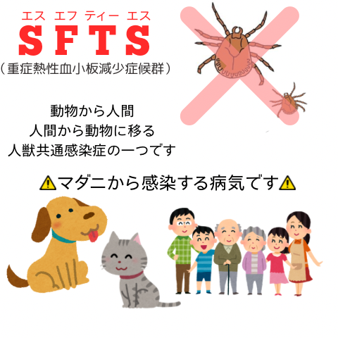 image0 (12).png