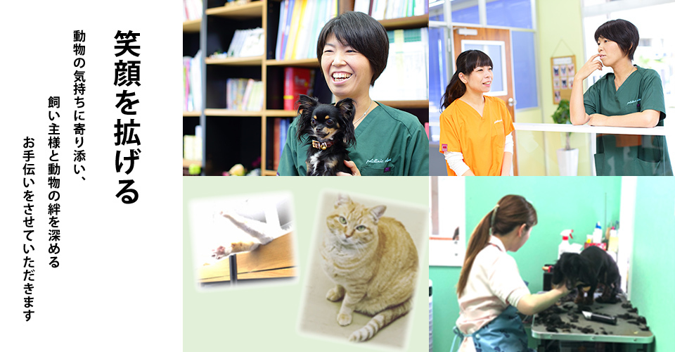 獣医師×動物看護師 動物たちの気持ちに沿った優しい治療を心がけています。