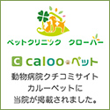 calooペット