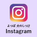 よつば 犬のしつけ Instagram