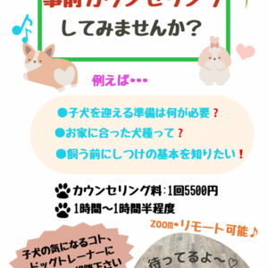 子犬をお家にお迎えする前にトレーナー・獣医師とのカウンセリングを受けませんか？