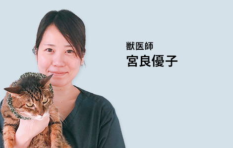 スタッフ紹介 八潮市 草加市 三郷市の動物病院ならペットクリニッククローバー スタッフ紹介 八潮市 草加市 三郷市の動物病院ならペットクリニッククローバー