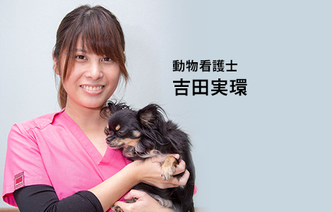 動物看護助手 吉田 実環